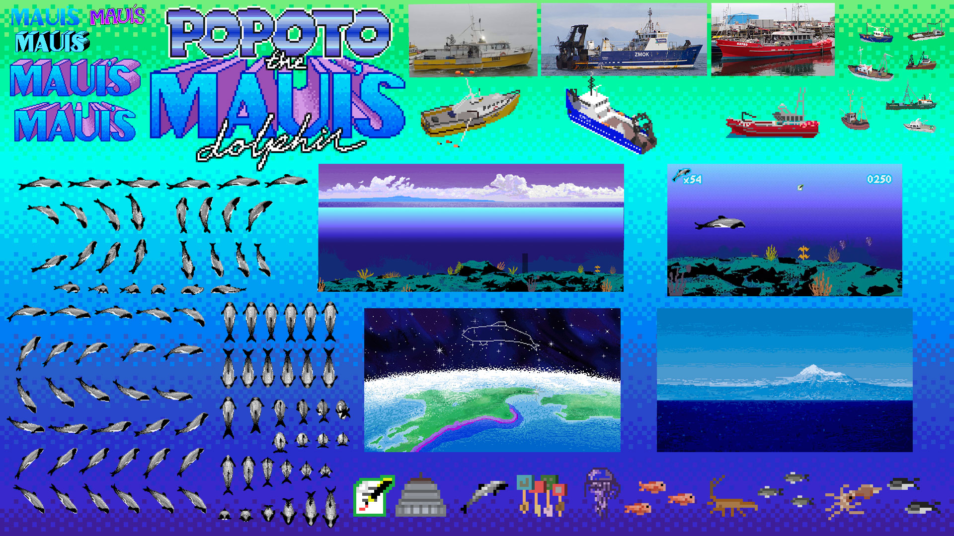 Popoto the Maui's Dolphin