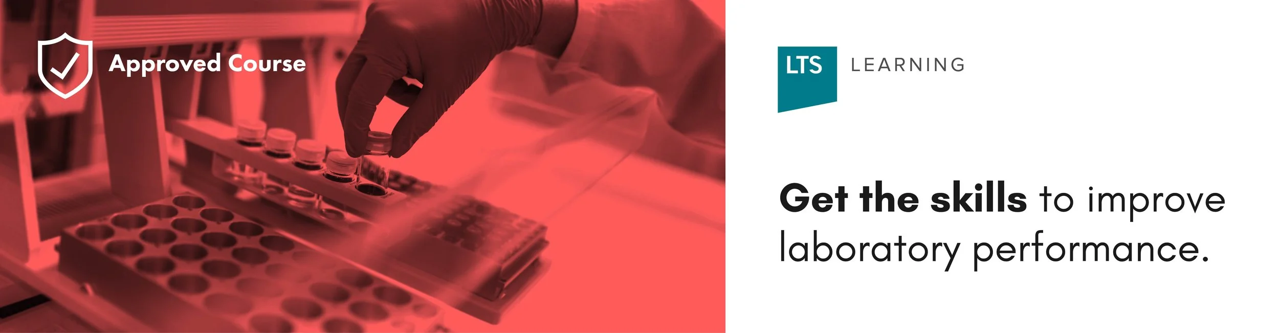 Web Banner-02.jpg
