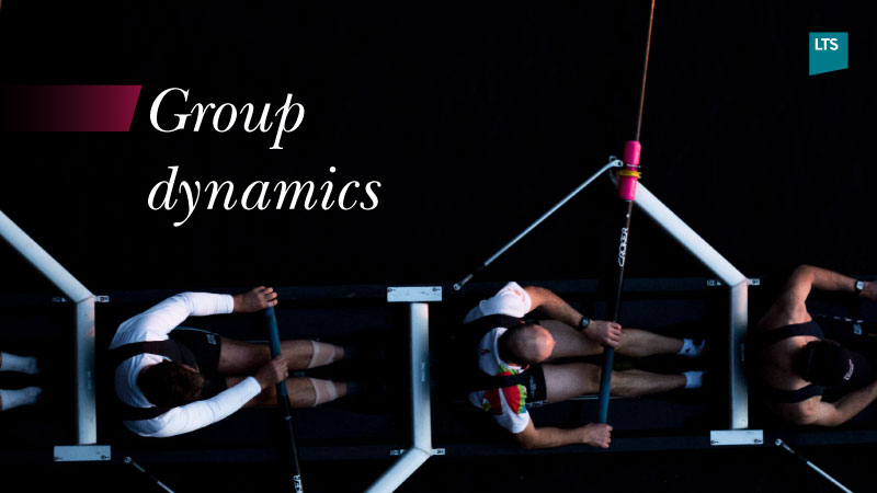 M5-Group-dynamics_VL.jpg