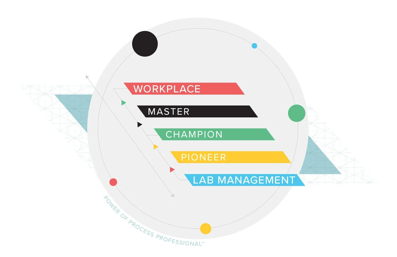 The Power of Process Professional™ establishes a culture of performance improvement in the lab, combining management fundamentals with operations expertise that can be integrated into the lab's improvement initiatives.