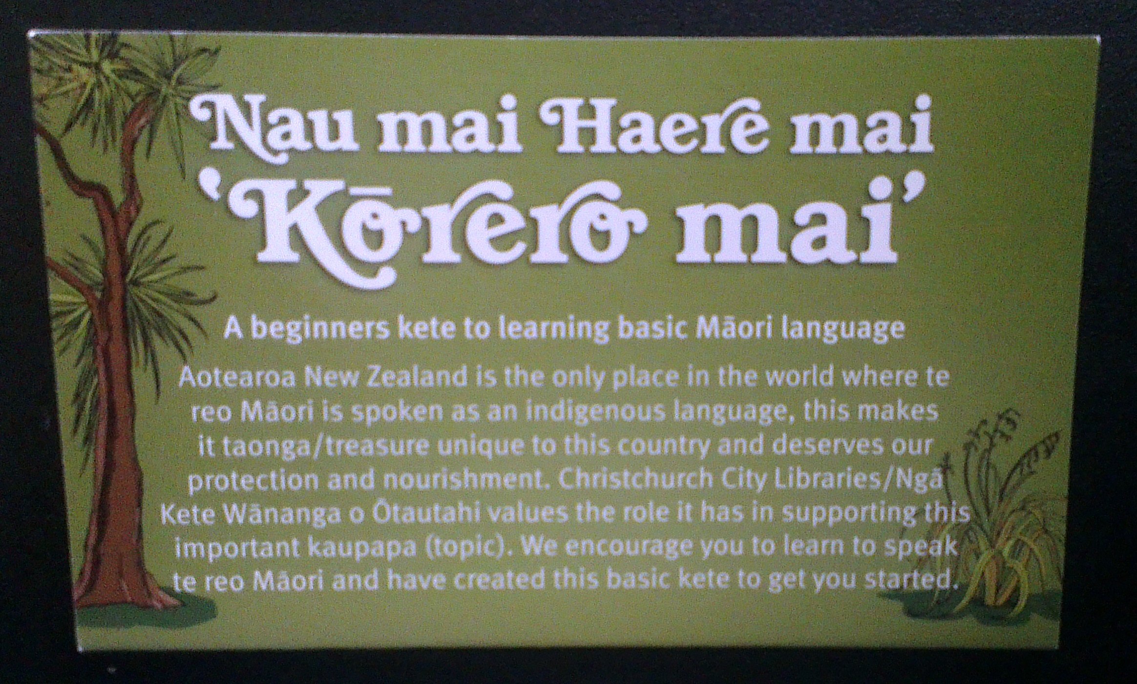   Kete distributed by Christchurch City Libraries during the Maori Language Week  