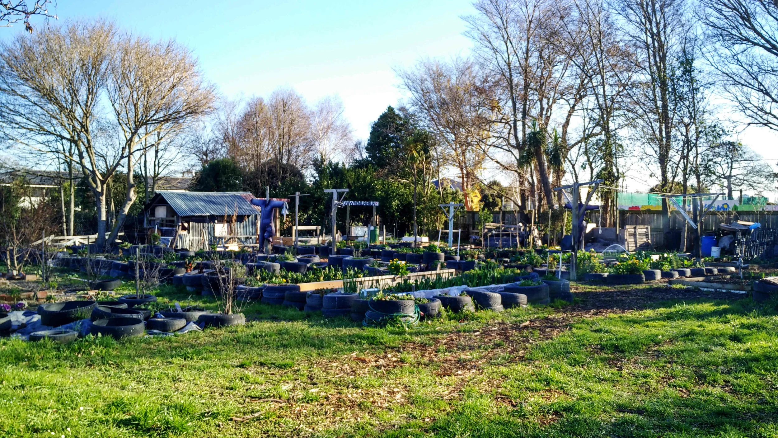 The Canterbury Community Gardens welcomes all