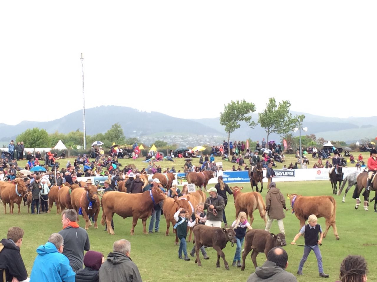  The weather played spoil-sport though, with attendance not so great on the final day 