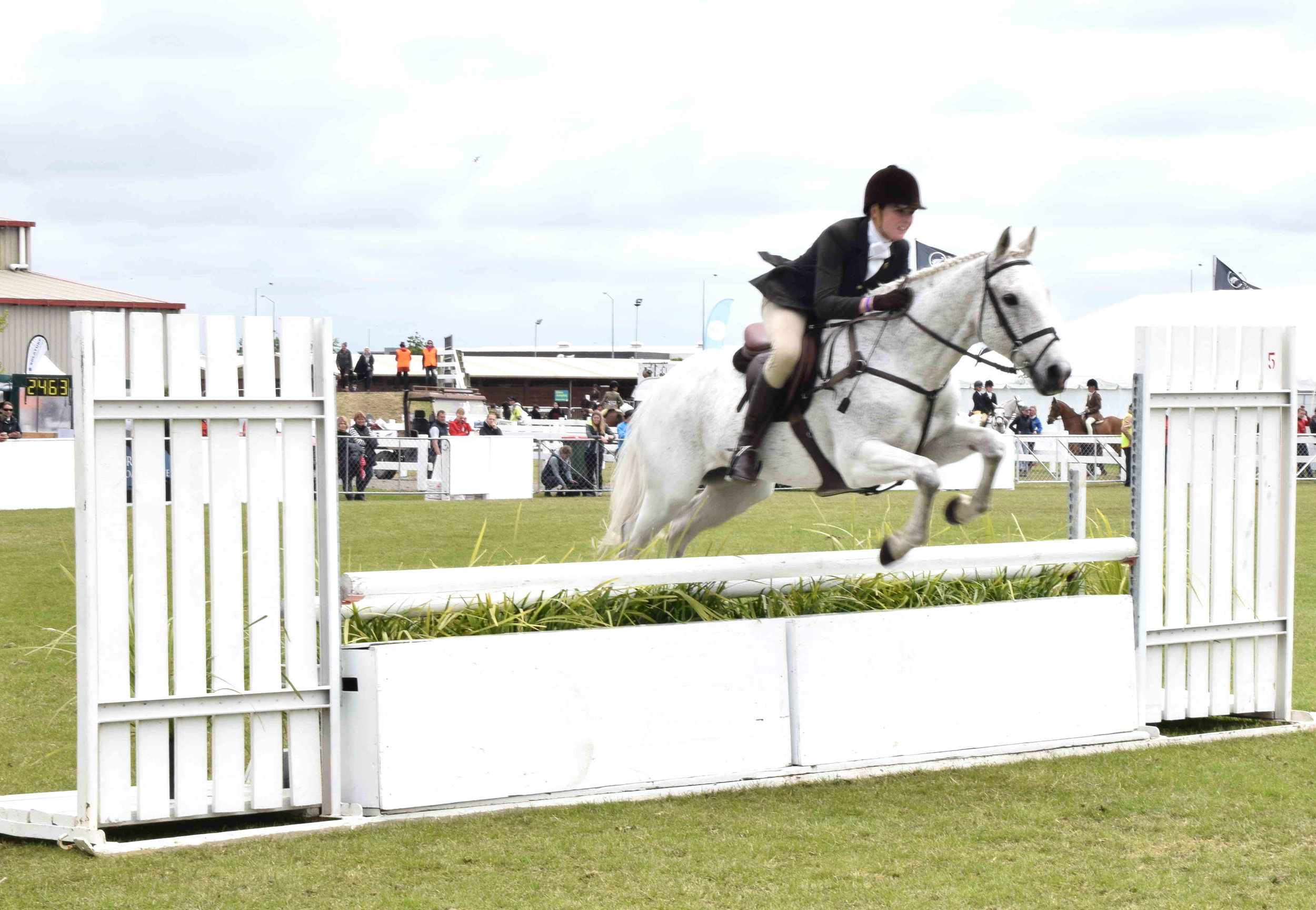  Showjumping - competitive riding of horses over a course of fences and obstacles, with riders and horses judged on their ability and time   