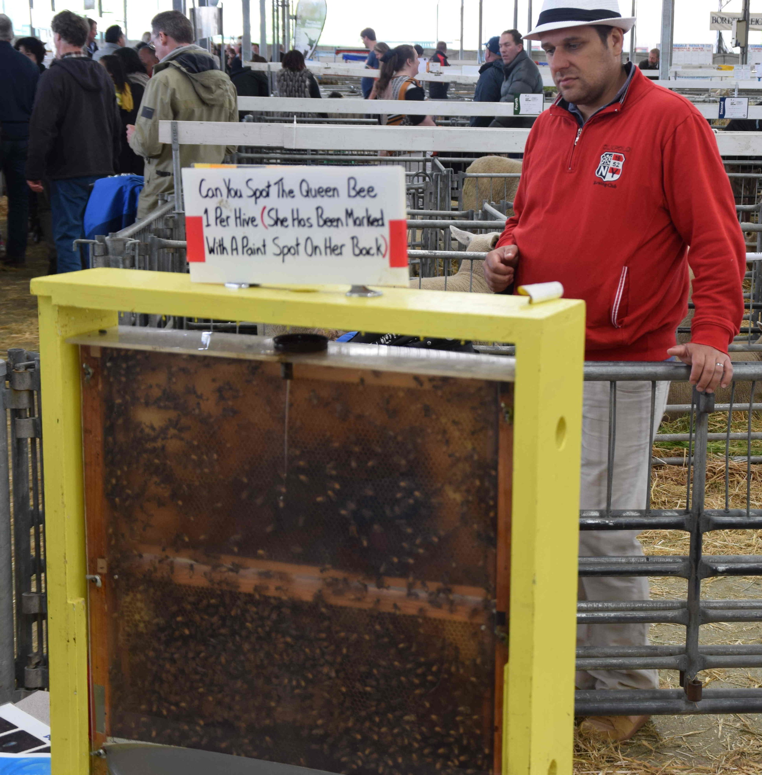  An onlooker learns the art of bee-keeping 