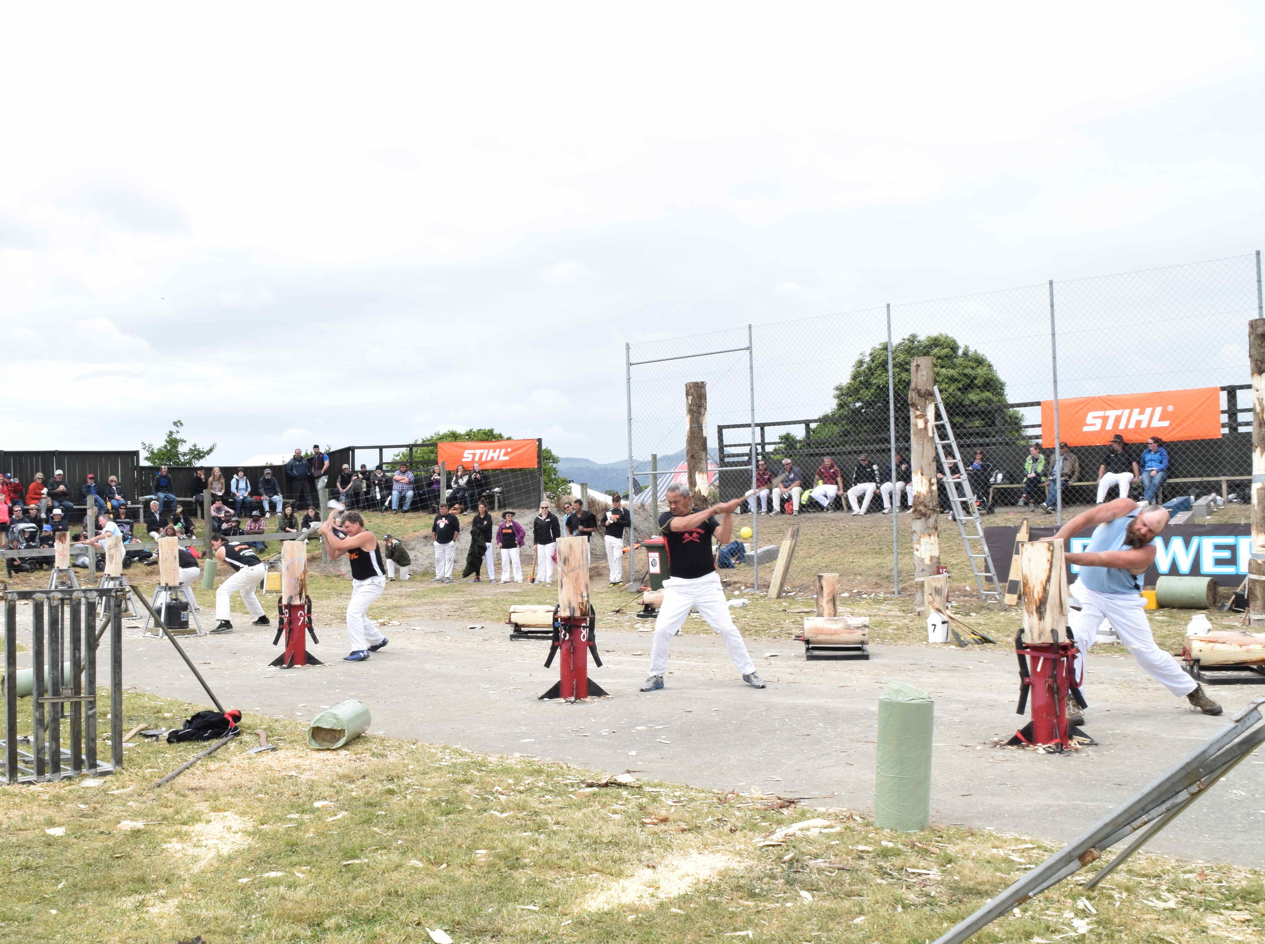  The most popular sport! International woodchopping competition with Australasia's best descending in Canterbury to demonstrate their skills 