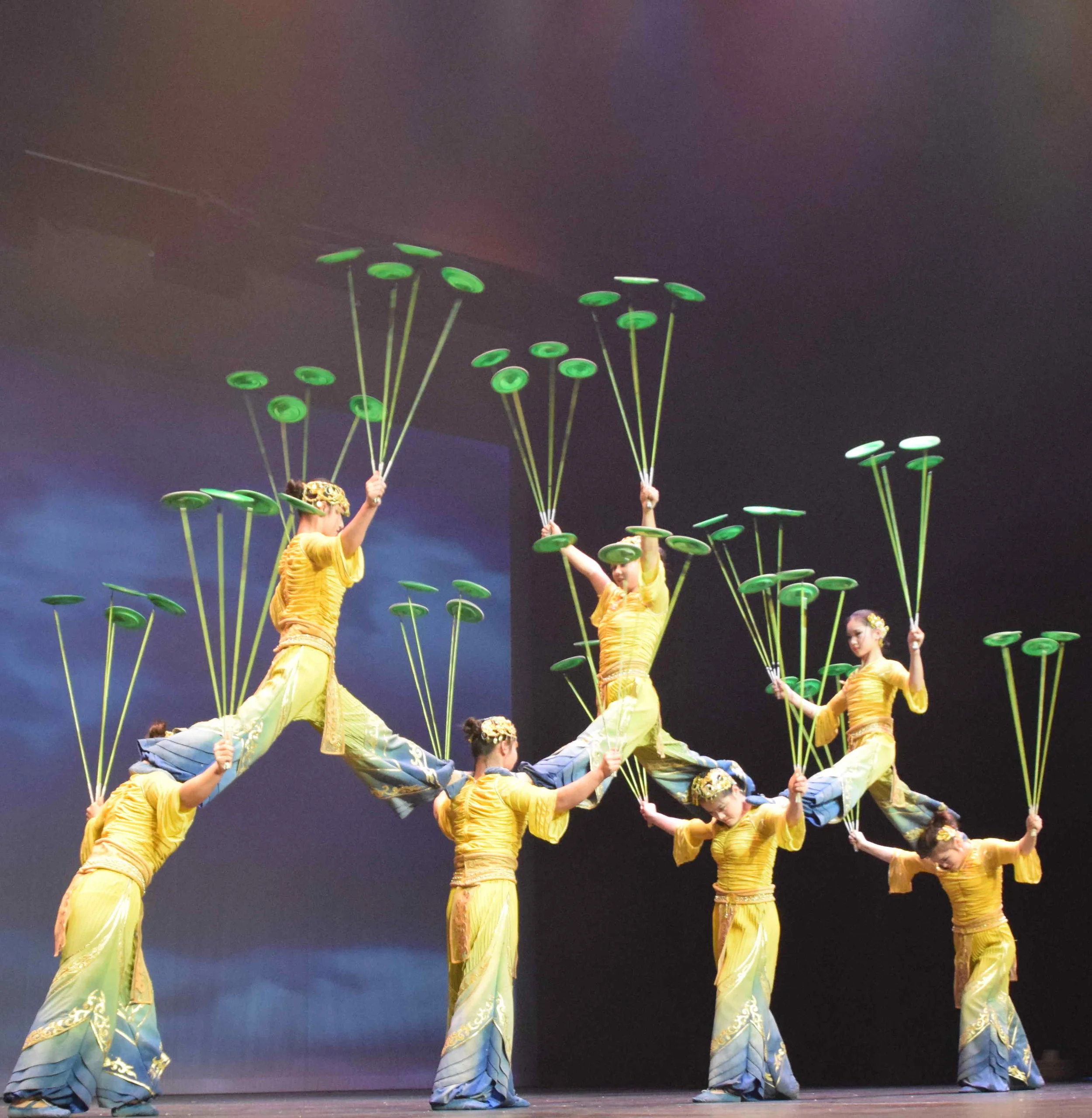 Gala show by the Gala show to celebrate the Chinese New Year of the Rooster hosted by the Consulate General of China in Christchurch 