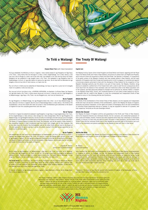 Treaty rights: Whanganui River, Te Awa Tupua, now a legal person