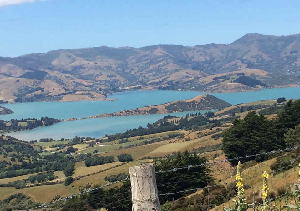 Education: ChristchurchNZ to launch this year