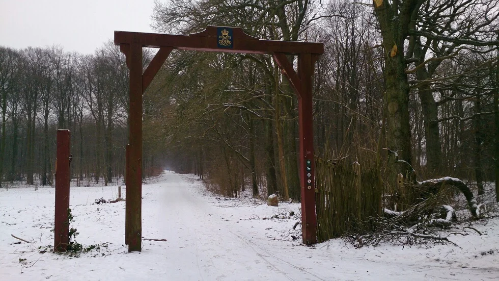 Rundforbi, januar 2016.jpg