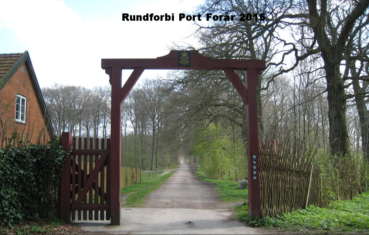 Rundforbi, forårsfoto fra nettet