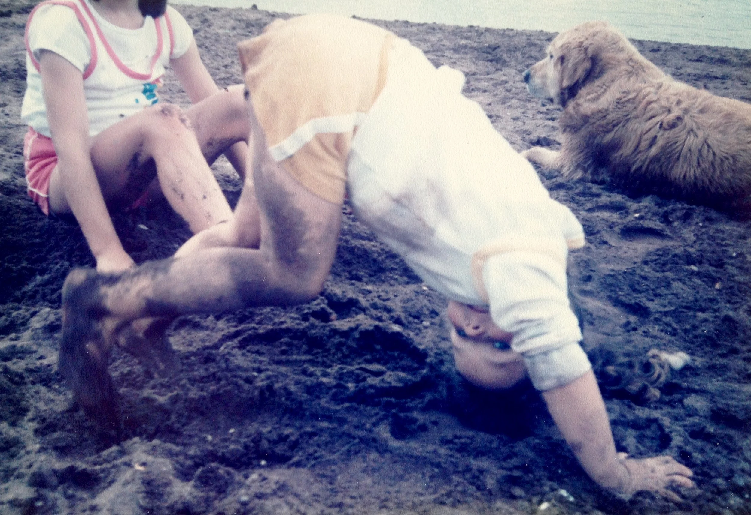 Symposium announced for Theatr Iolo's brand-new co-production