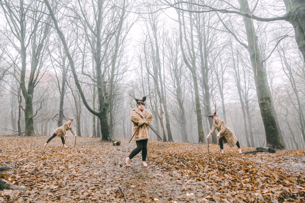 reindeerpicks2©kirstenmcternan008.png