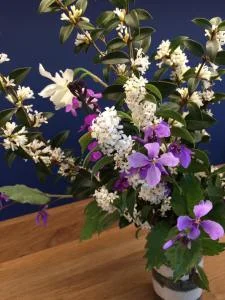 February orchid: it’s not an orchid, and it’s not February. But still …