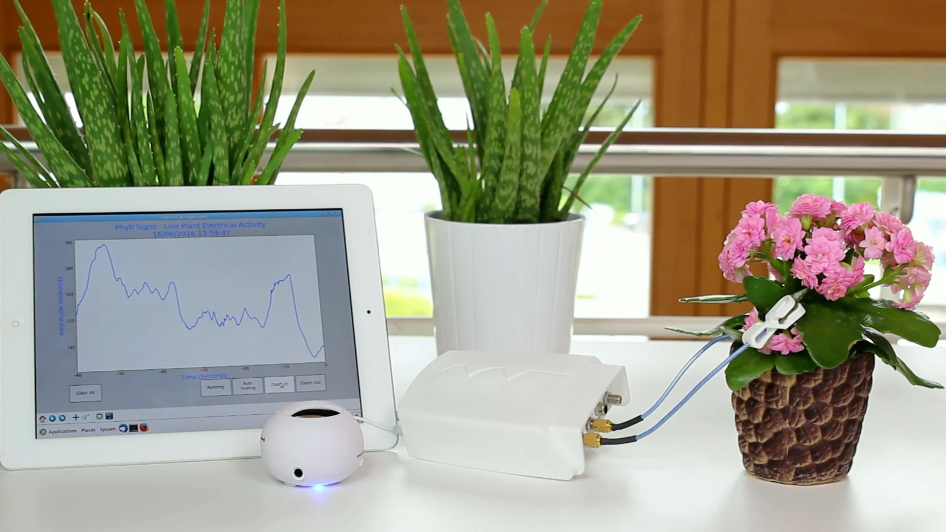 Phytl Signs: start listening to your plants. And scaring your dog.