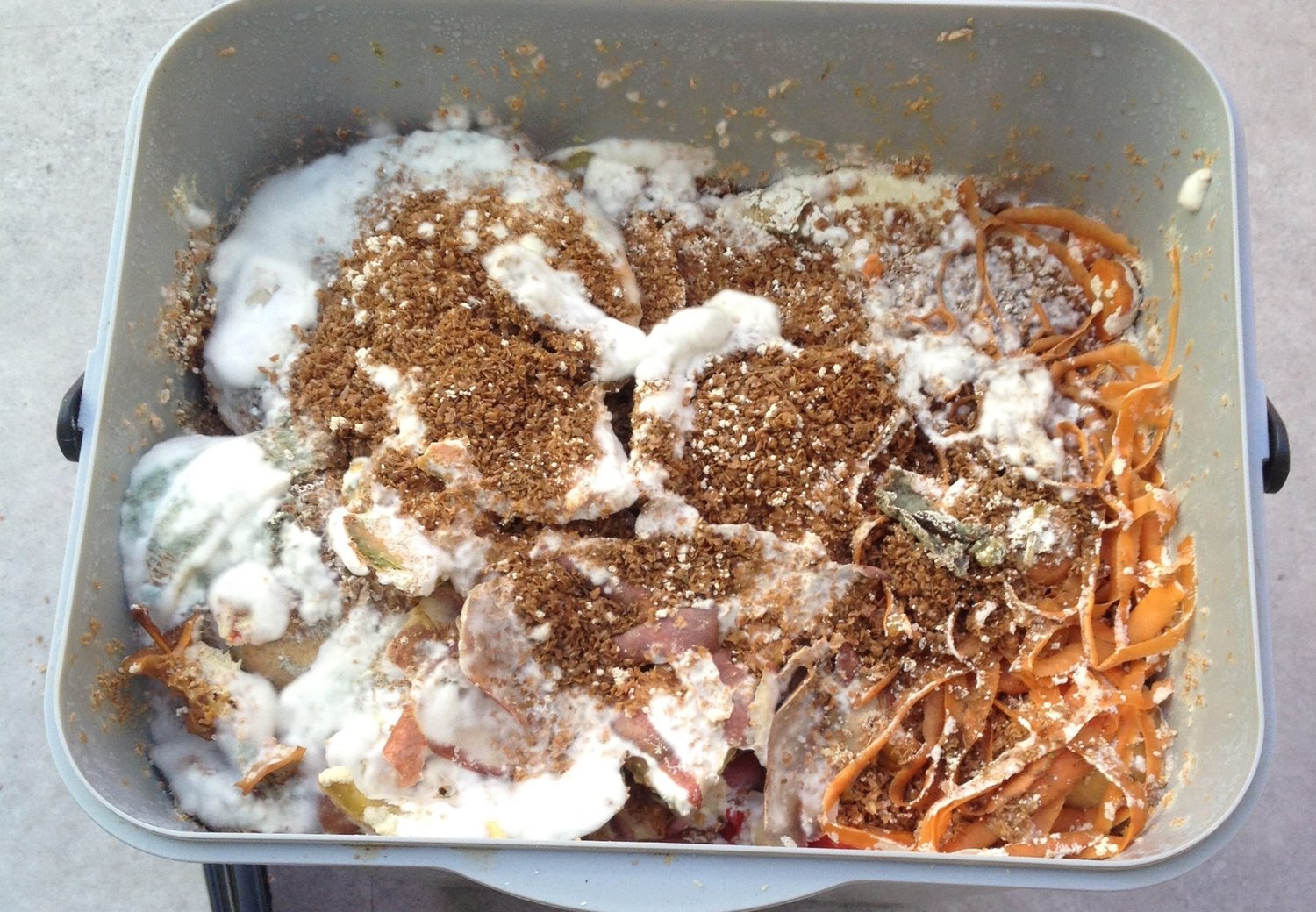 White mould good, green mould bad ... an aerial view of a bokashi bucket mid-way through the fermenting process.