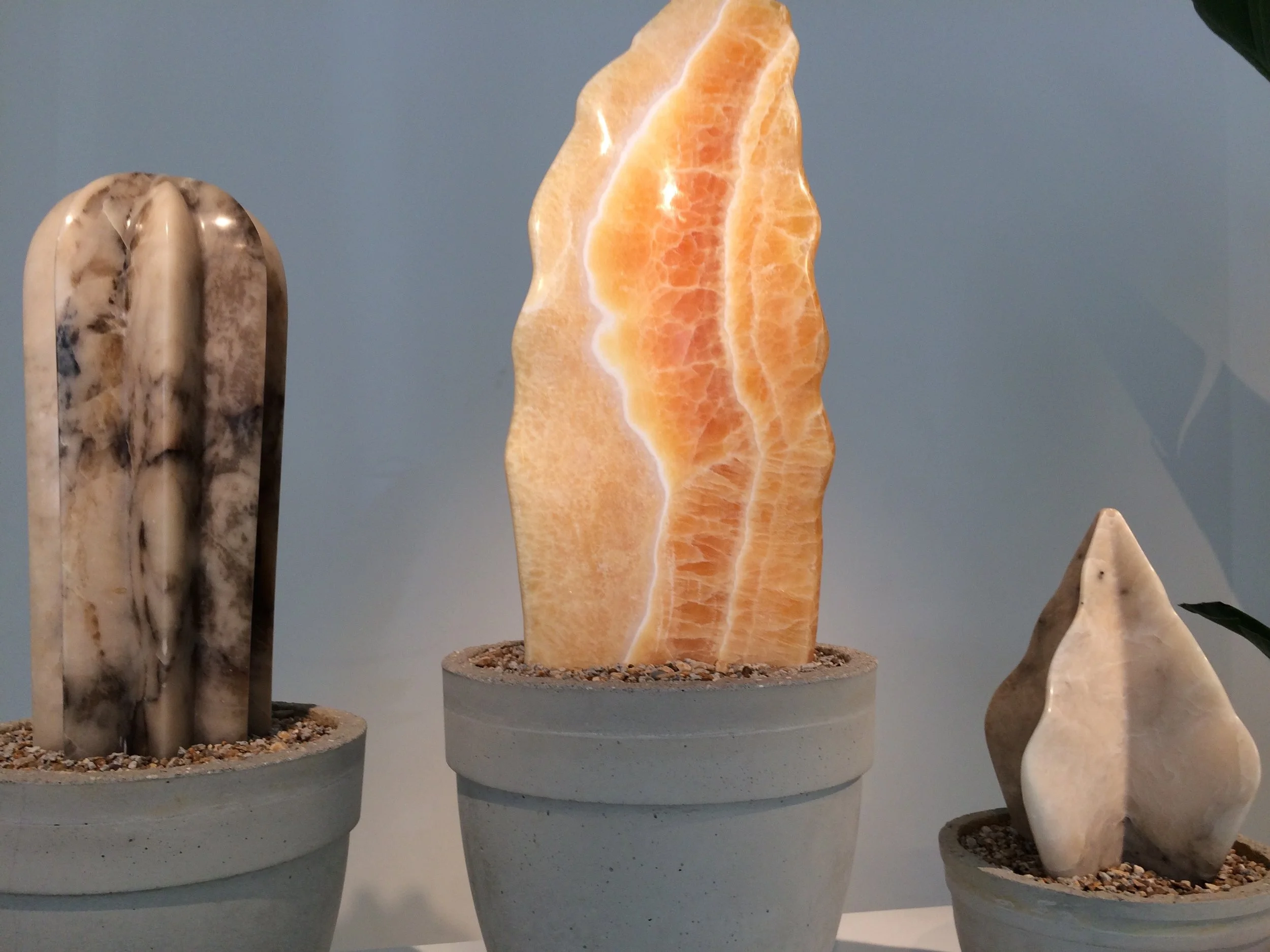 Cactus art: some of Ben Russell's sculptures at his exhibition at the HIgnell Gallery in London. Photograph: Jane Perrone.