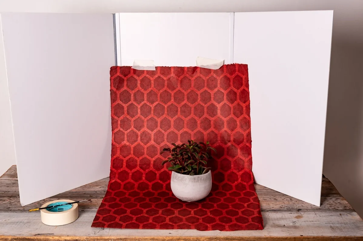 A reflector is easy enough to make using three pieces of card or foam board taped together - or you can buy one from a photographic shop. You can then use this to support coloured backgrounds. Photograph: Jacqui Hurst .