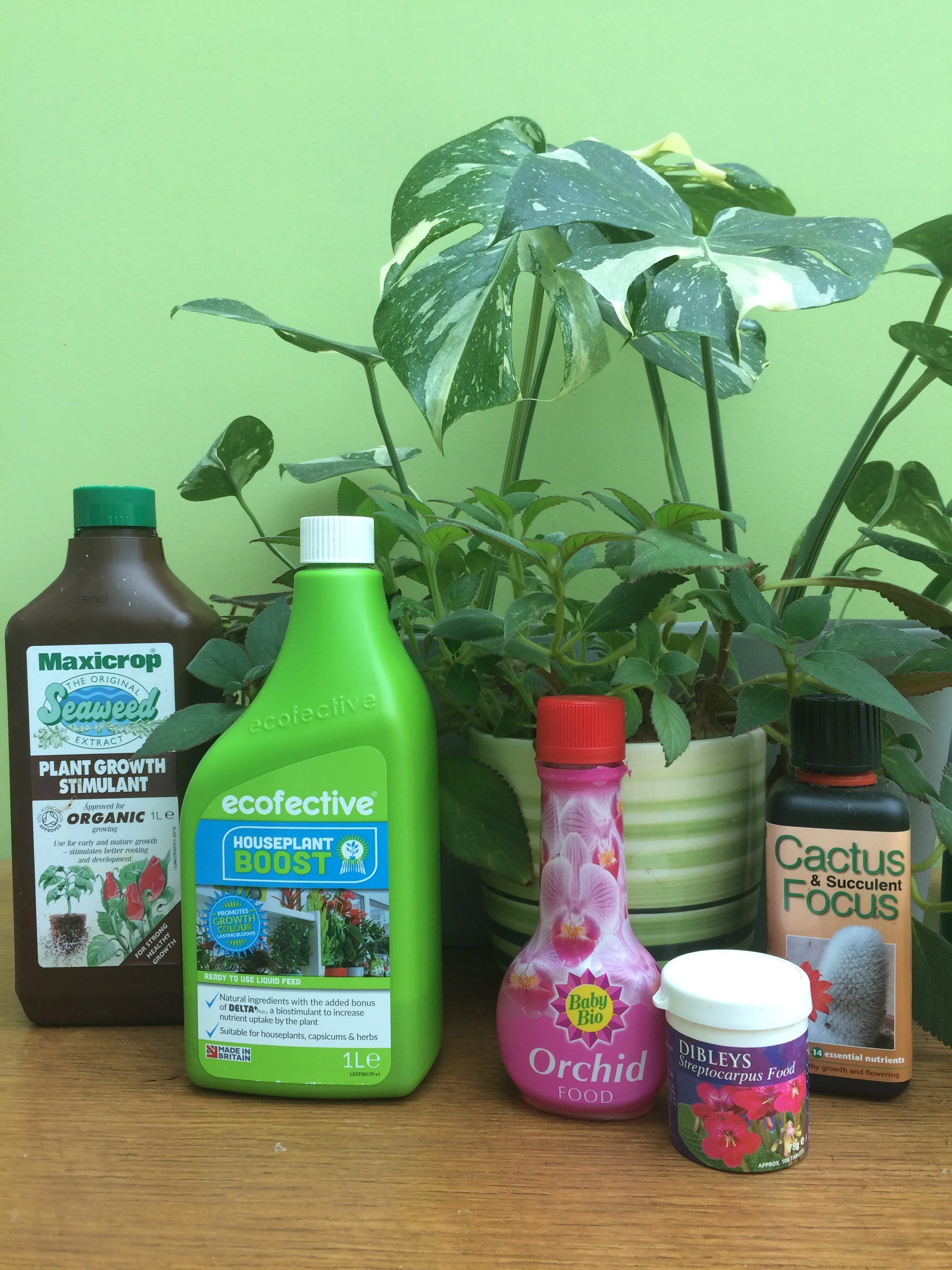 Episode 90: fertilisers for houseplants plus OTL sowalong part four