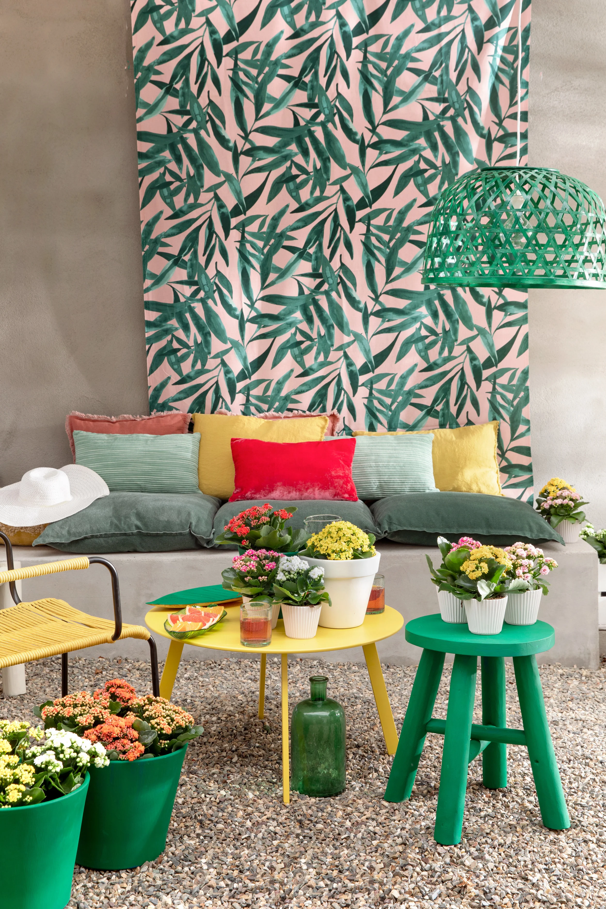 Kalanchoe_Garden_2019_01.jpg