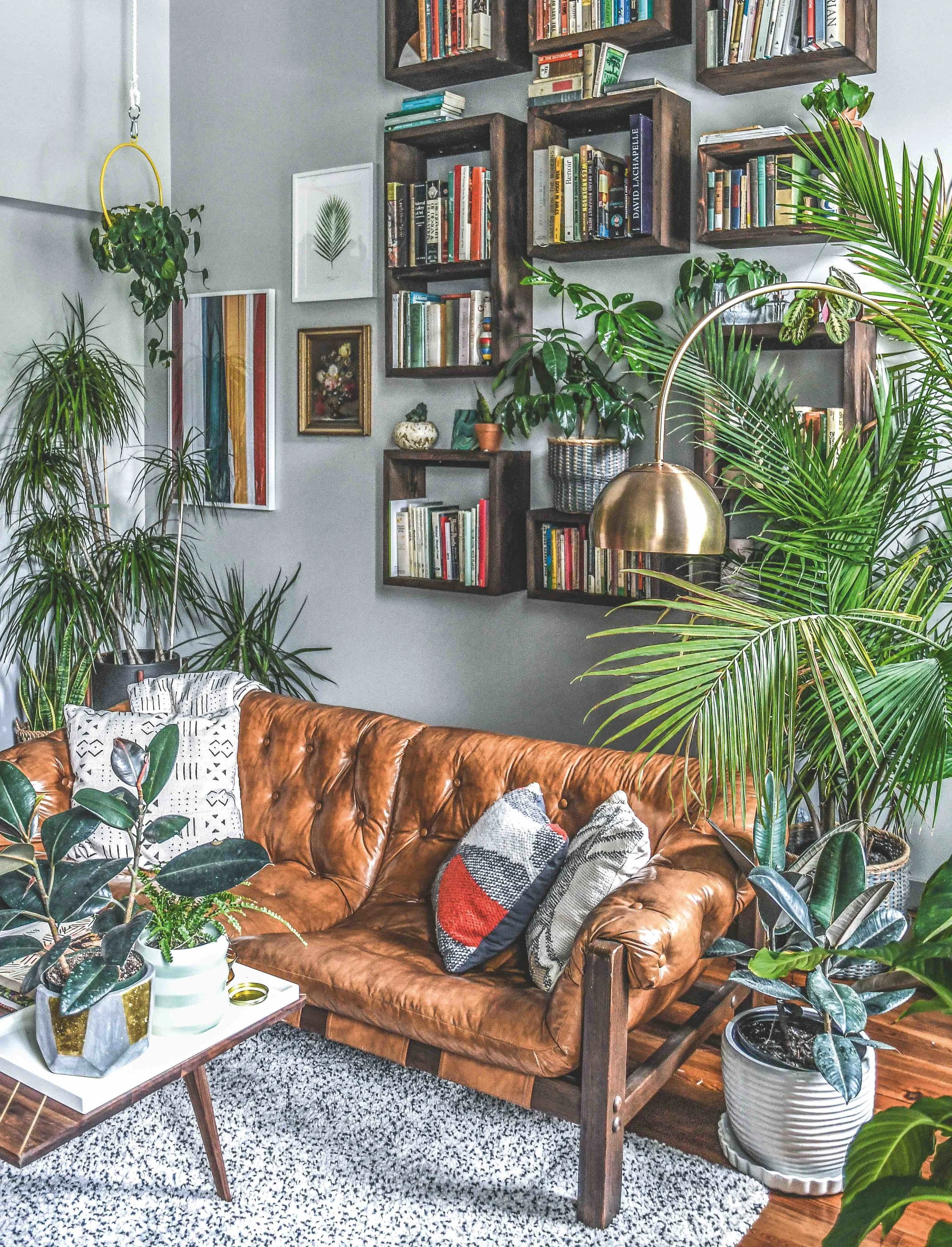 Hilton Carter’s living room. Photograph: © Hilton Carter, taken from Wild at Home, published by CICO Books (£14.99).
