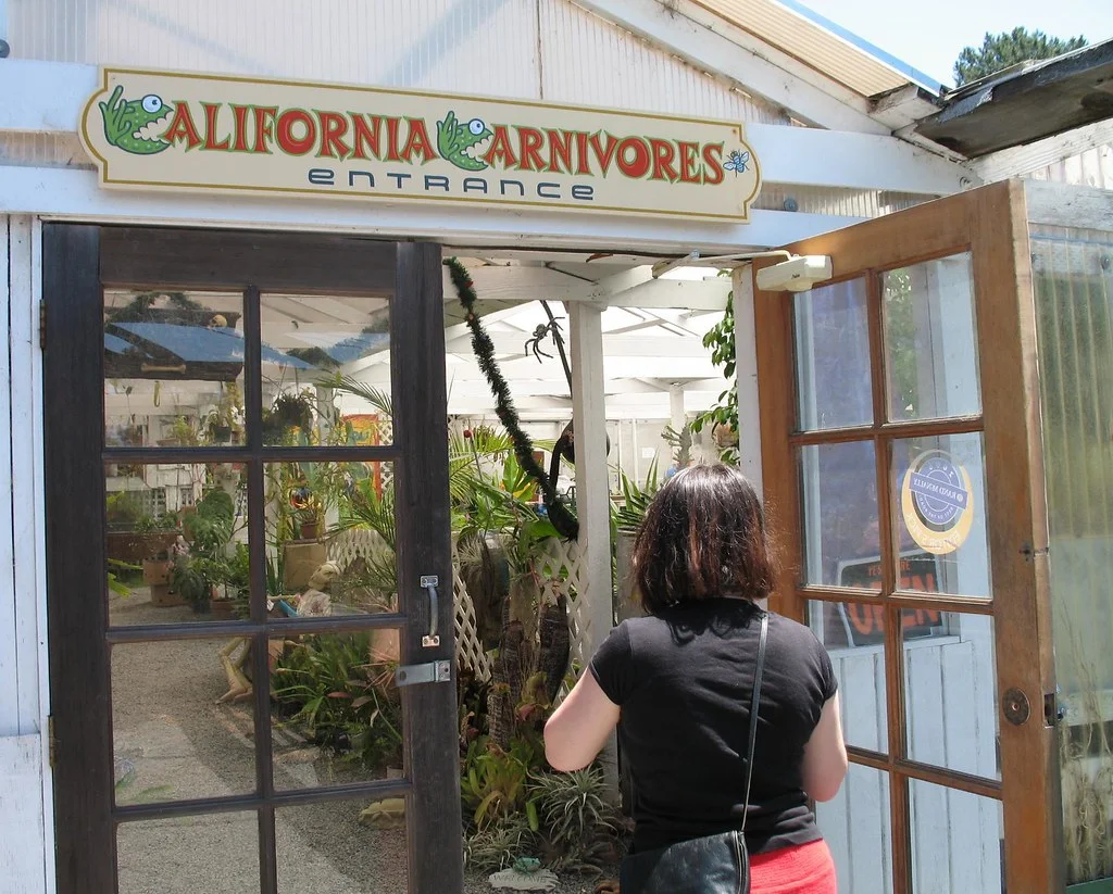 Come on in… California Carnivores nursery. Photograph: Orin Zebest on Flickr .