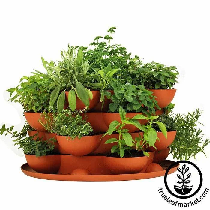 True Leaf Market’s stackable planter plus culinary herb kit