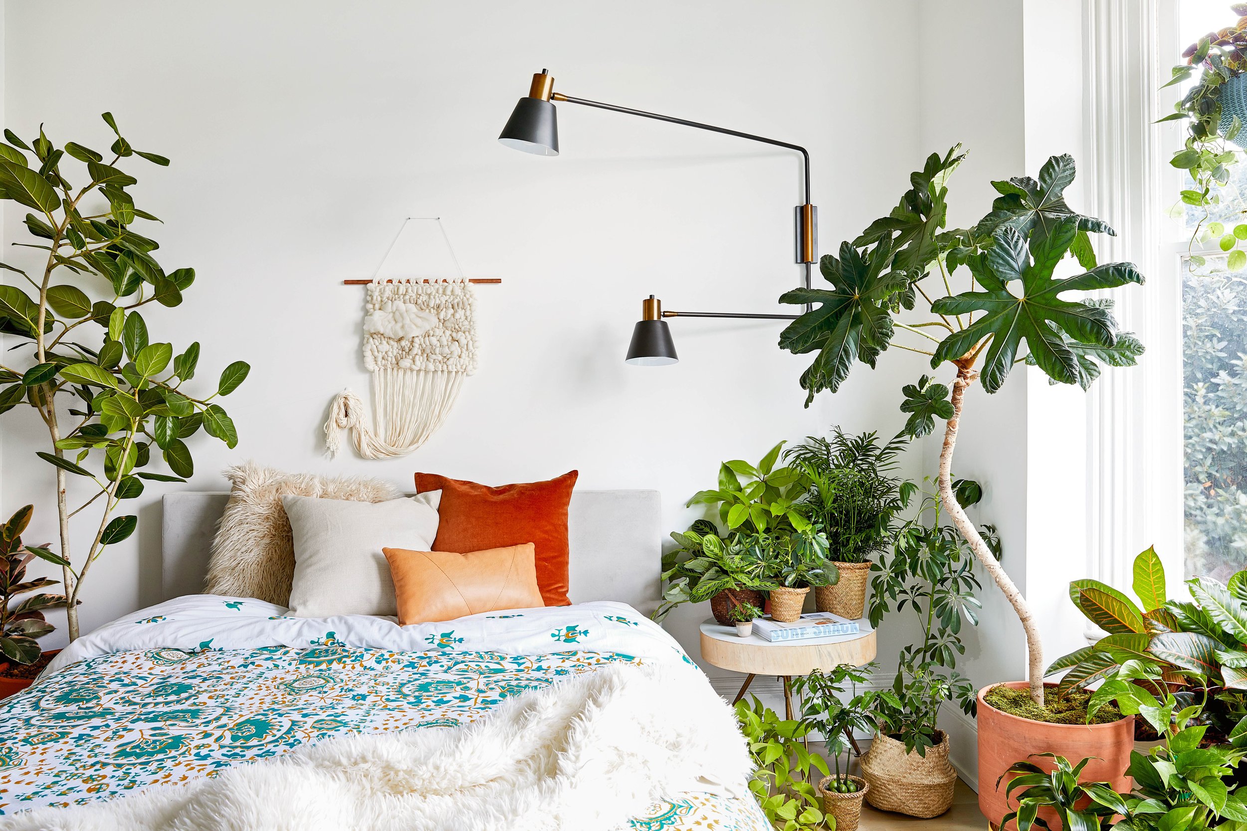 Episode 96: plants for bedrooms with Baylor Chapman — Jane Perrone