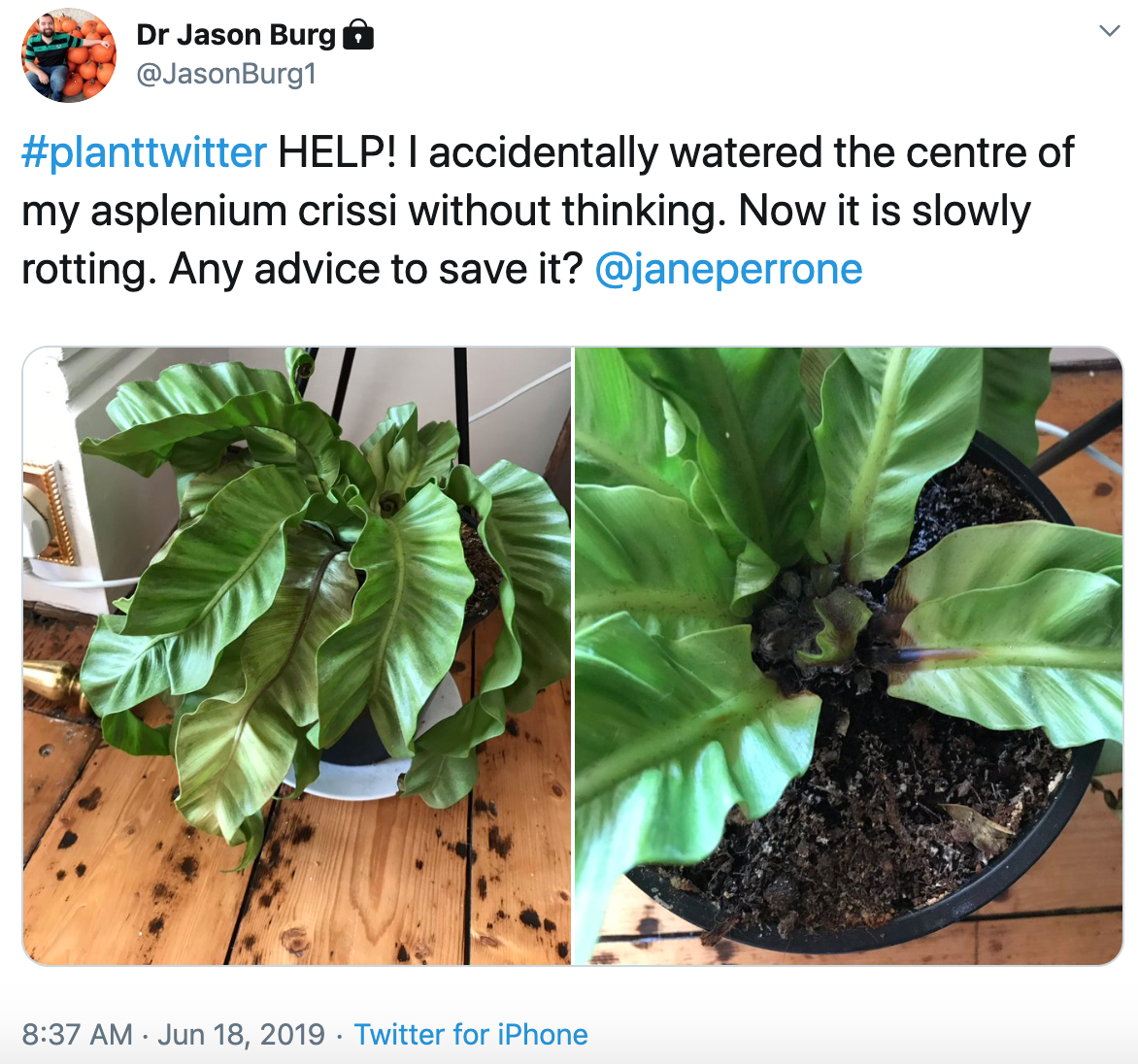 Screenshot 2019-09-07 at 09.04.32.png