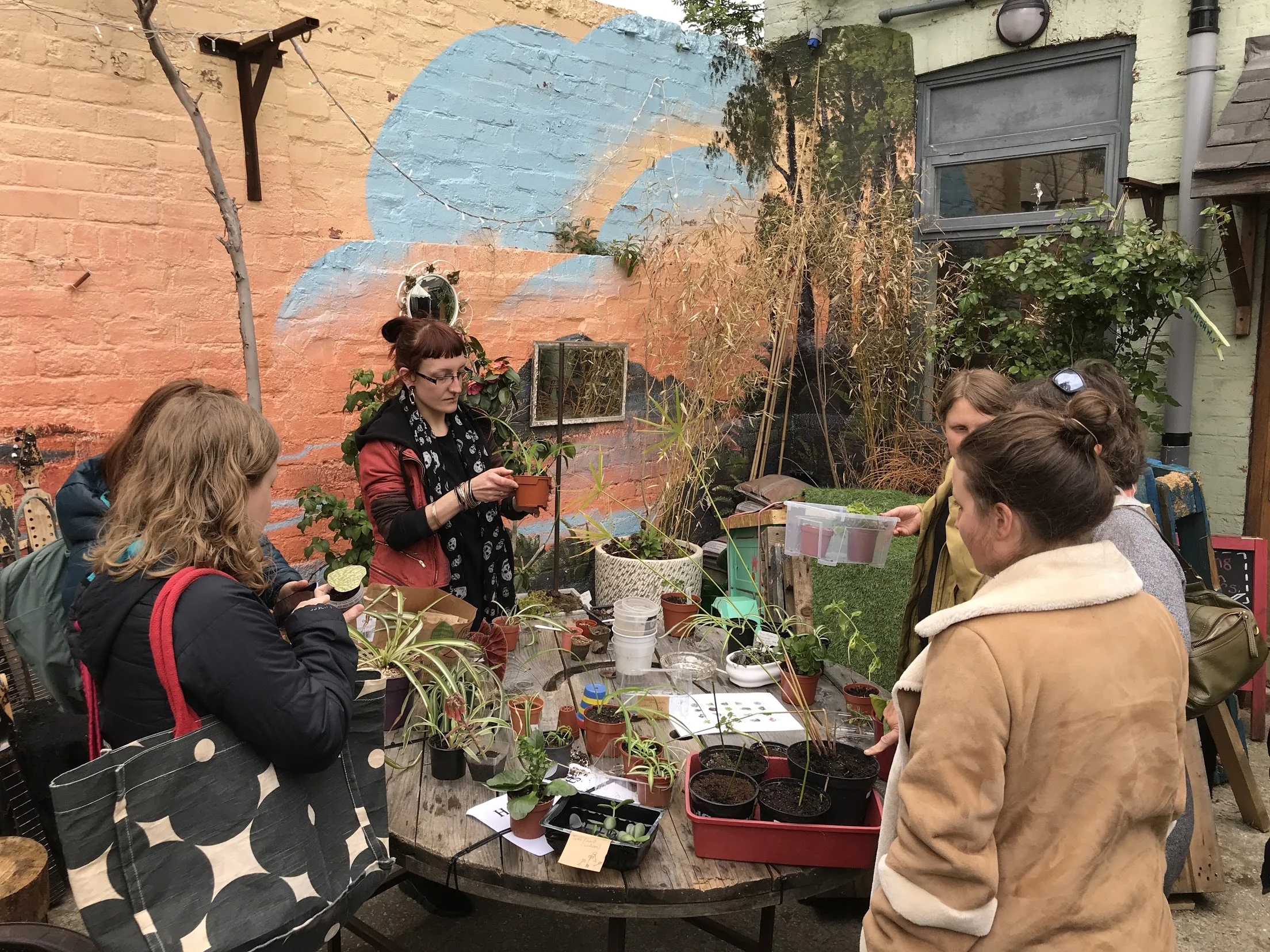 Episode 112: plant swaps