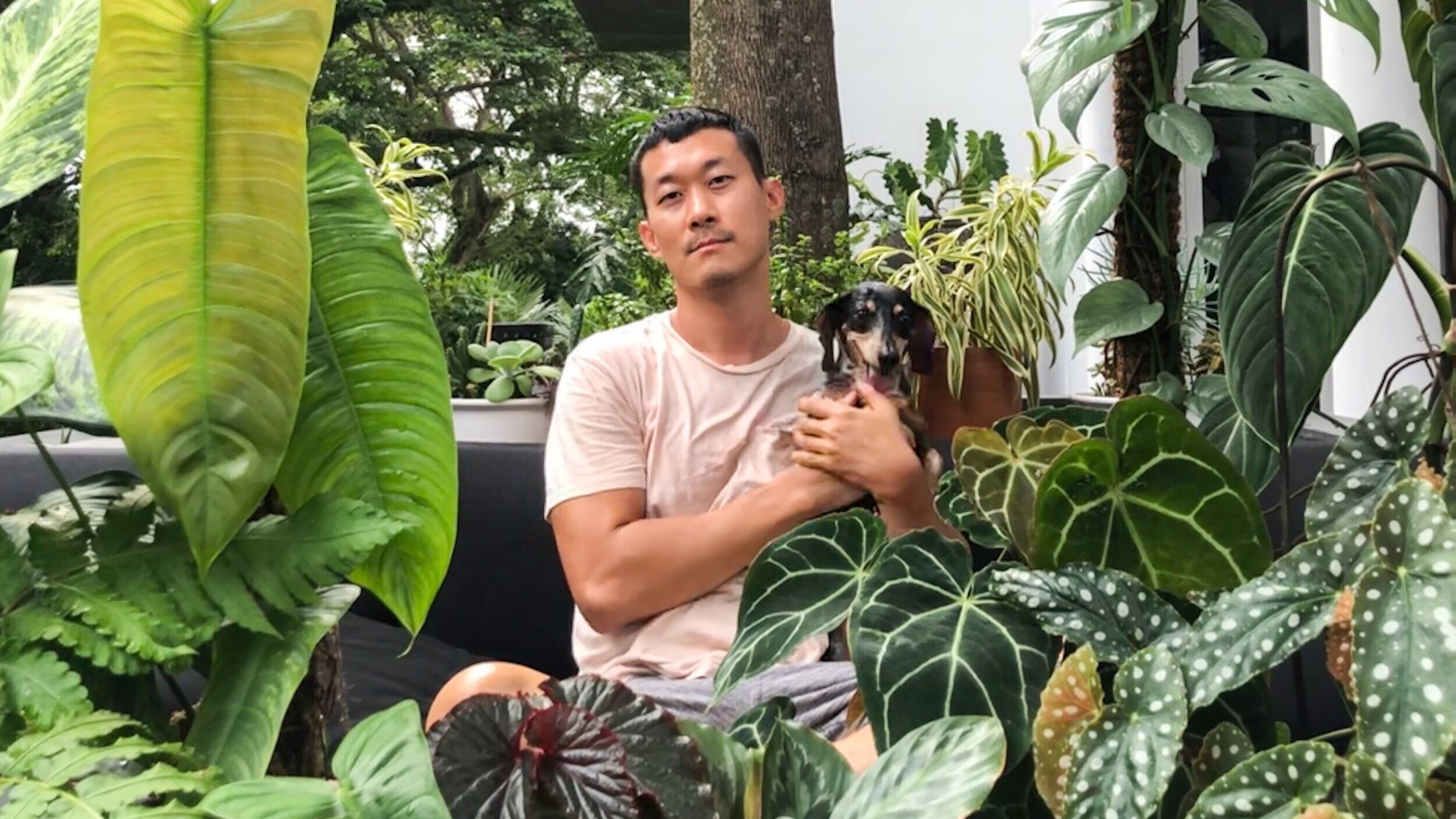 Episode 180: Indonesian houseplant culture with Youtuber Onlyplants ...