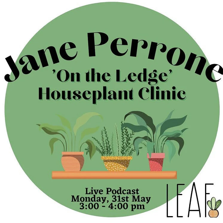 Leaf houseplant festival on May 31 - get your tickets now!
