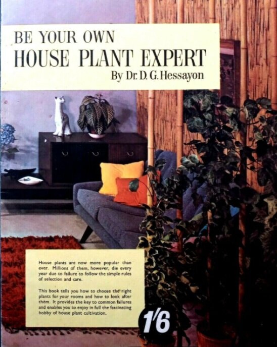The indoor plant spotter d g hessayon