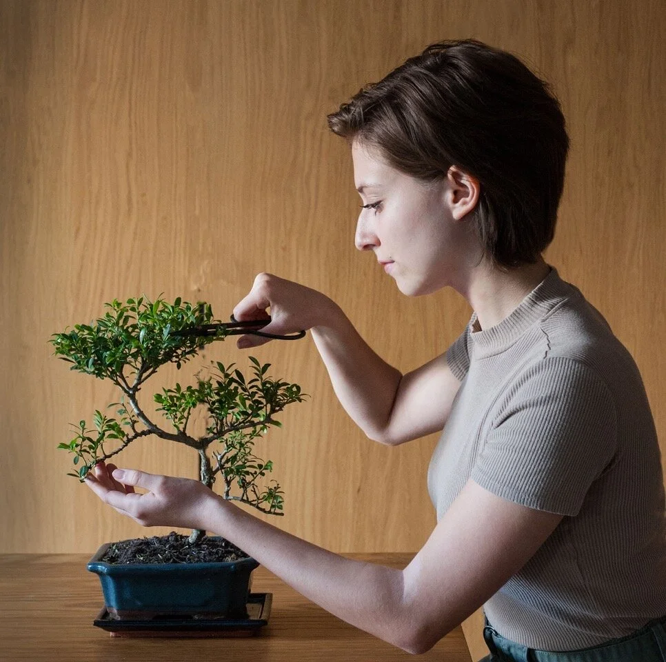 Episode 199: indoor bonsai with @bonsai_raff