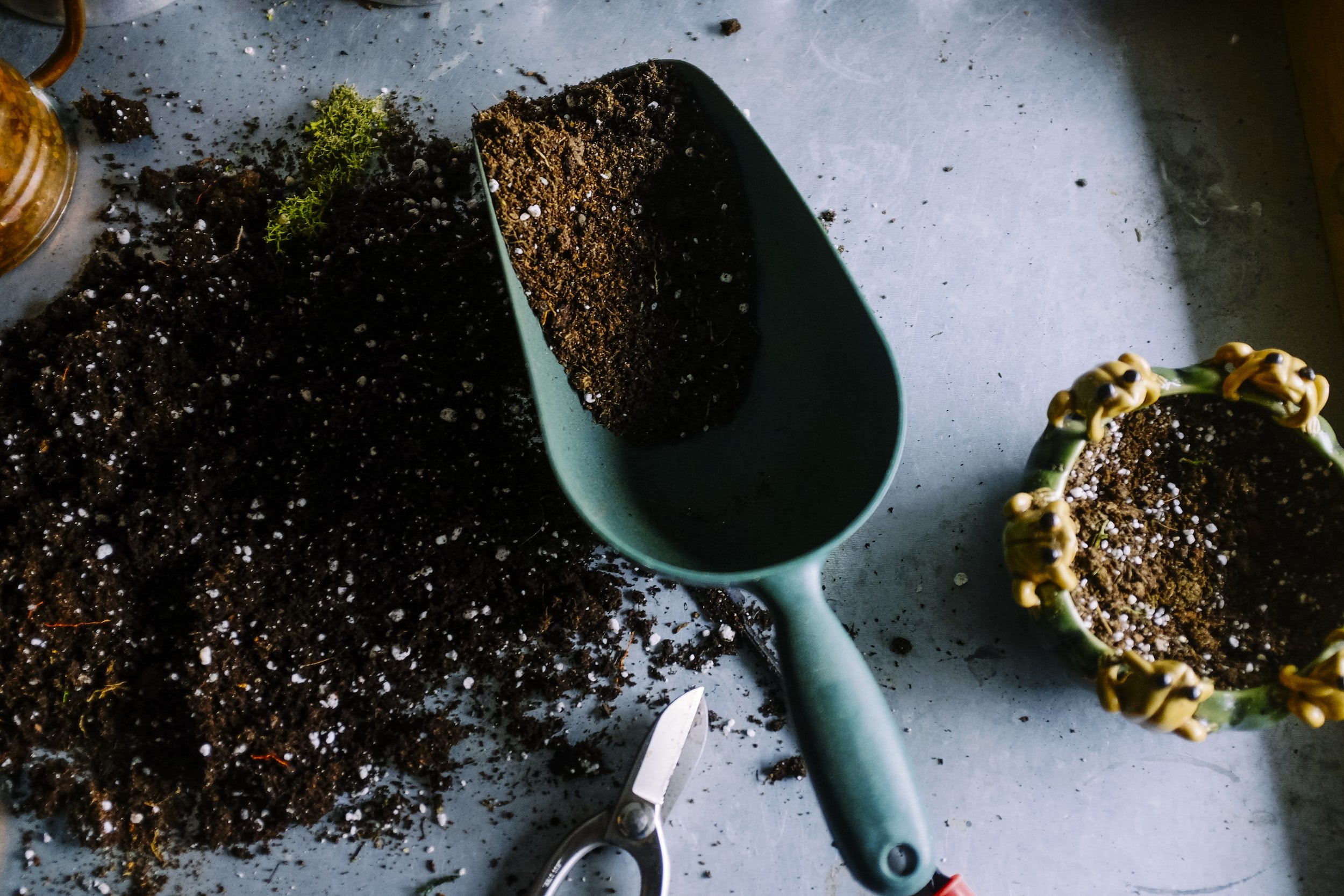 An A to Z of houseplant potting mix ingredients