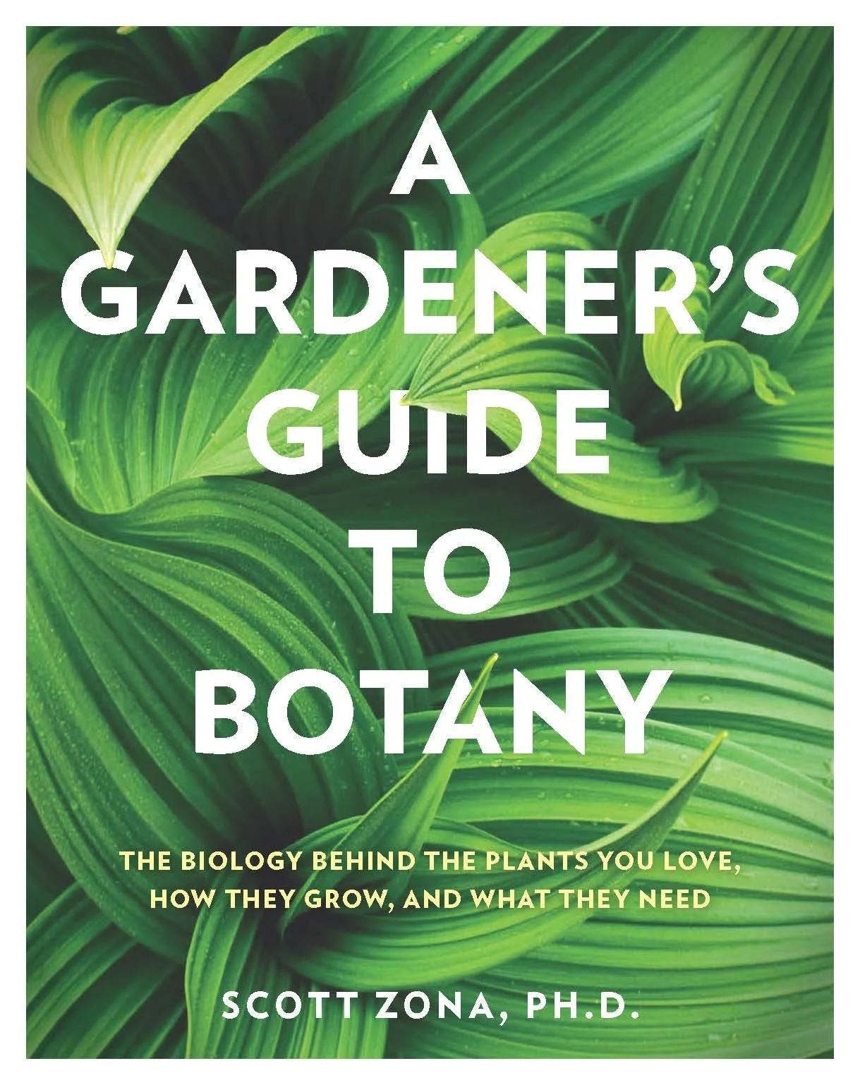 Episode 245: houseplant botany with Dr Scott Zona