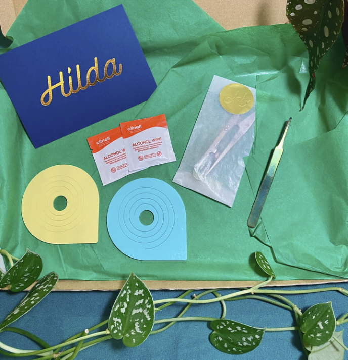 A planty Christmas gift guide with a difference