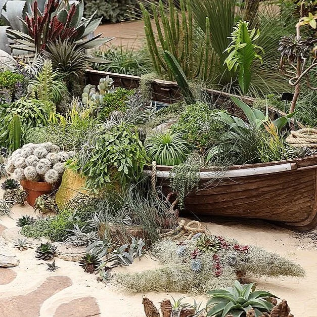 Episode 255: A Deep Sea Dive into houseplants at RHS Wisley
