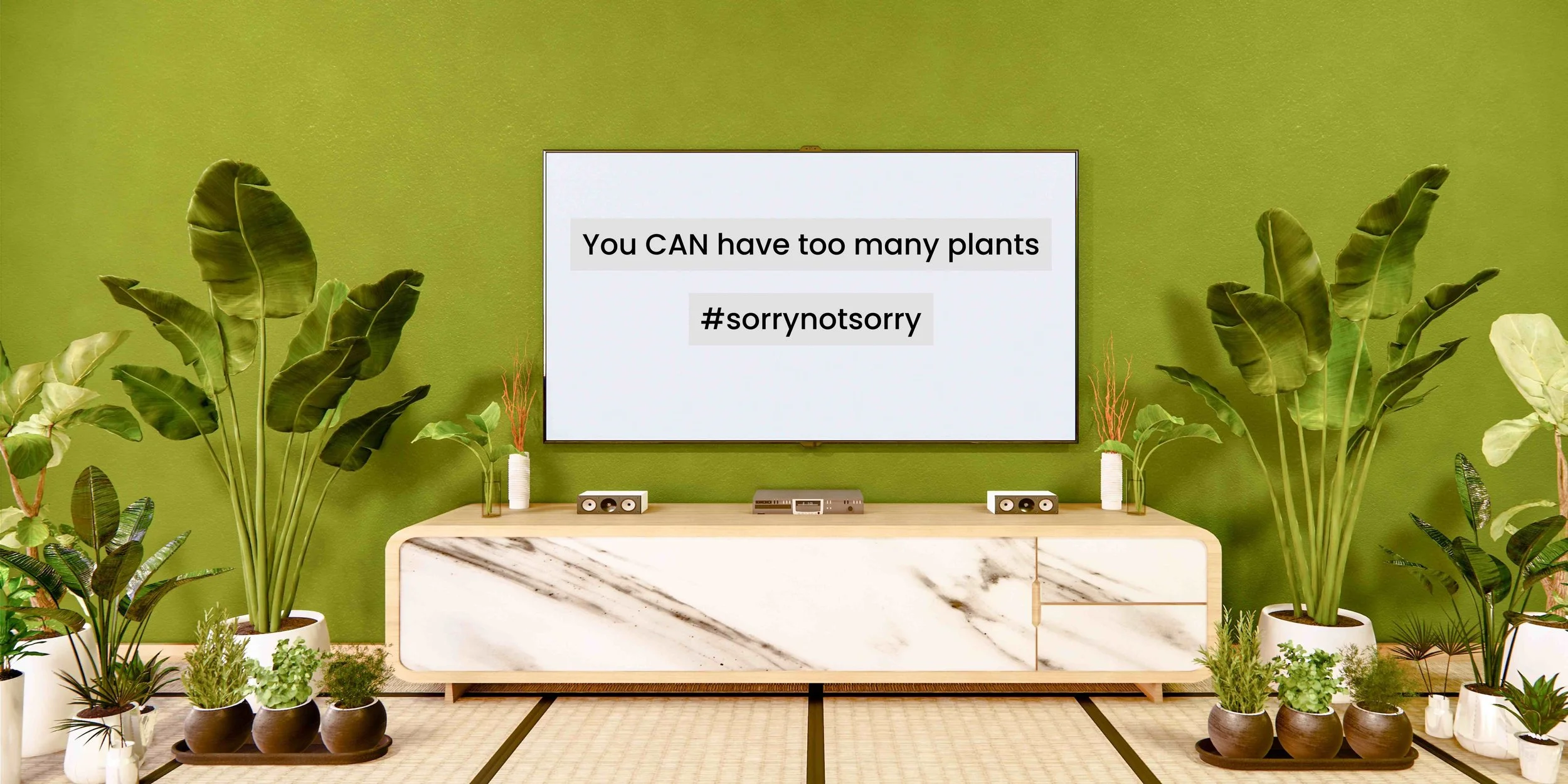 You can have too many houseplants #sorrynotsorry