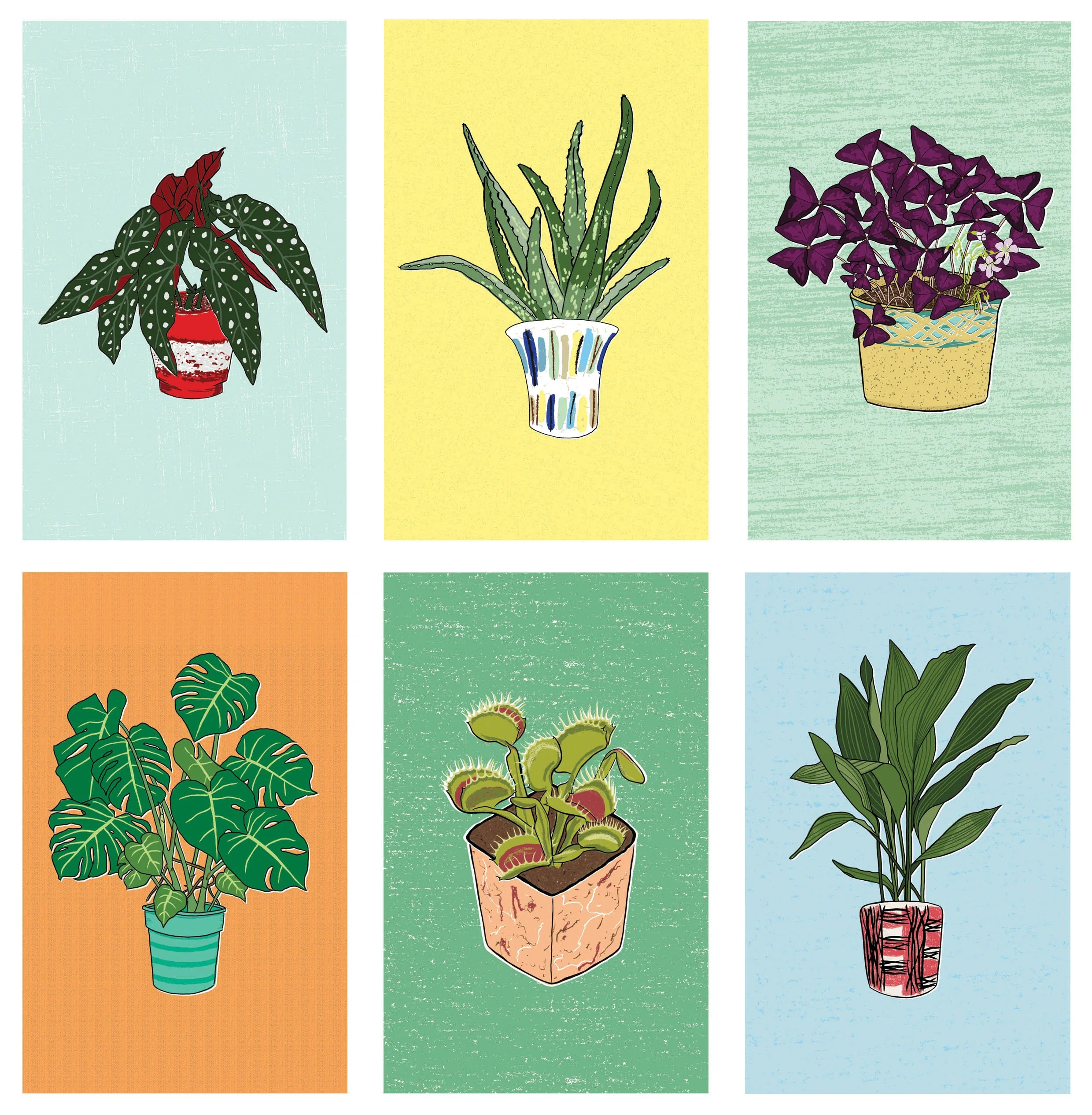 Episode 263: Legends of the Leaf illustrator Helen Entwisle