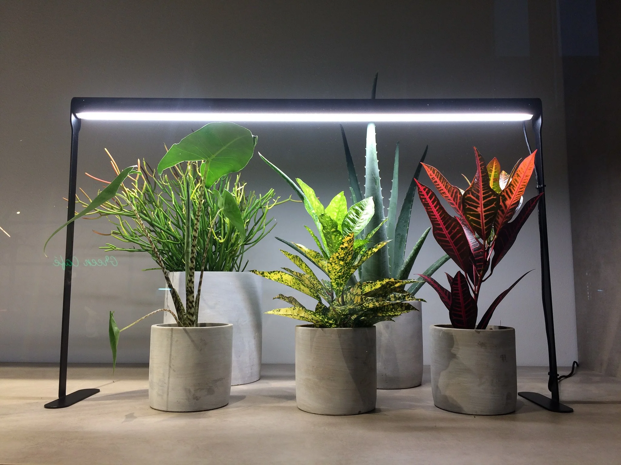 Don't look down on us houseplant lovers: there’s expertise in the indoor gardening world, too