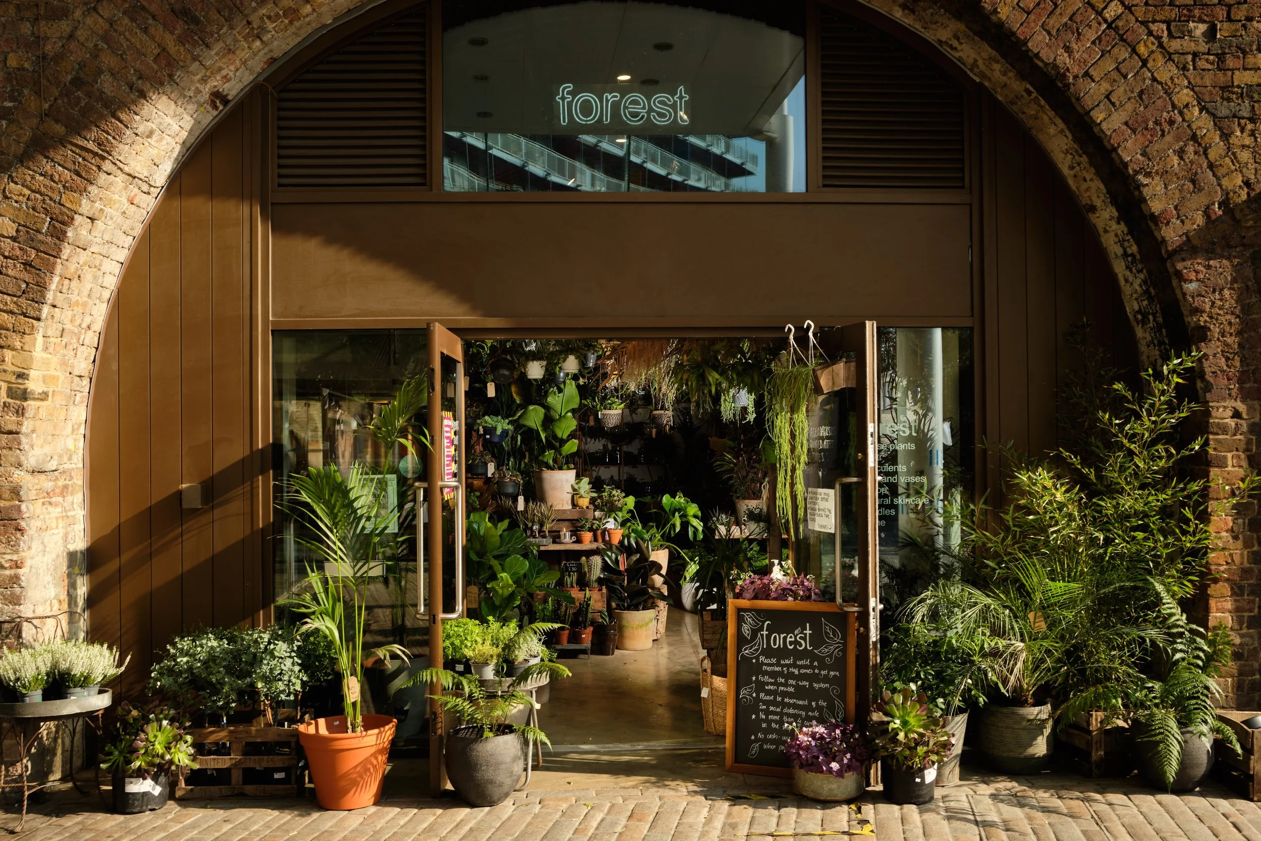 Five must-visit houseplant shops