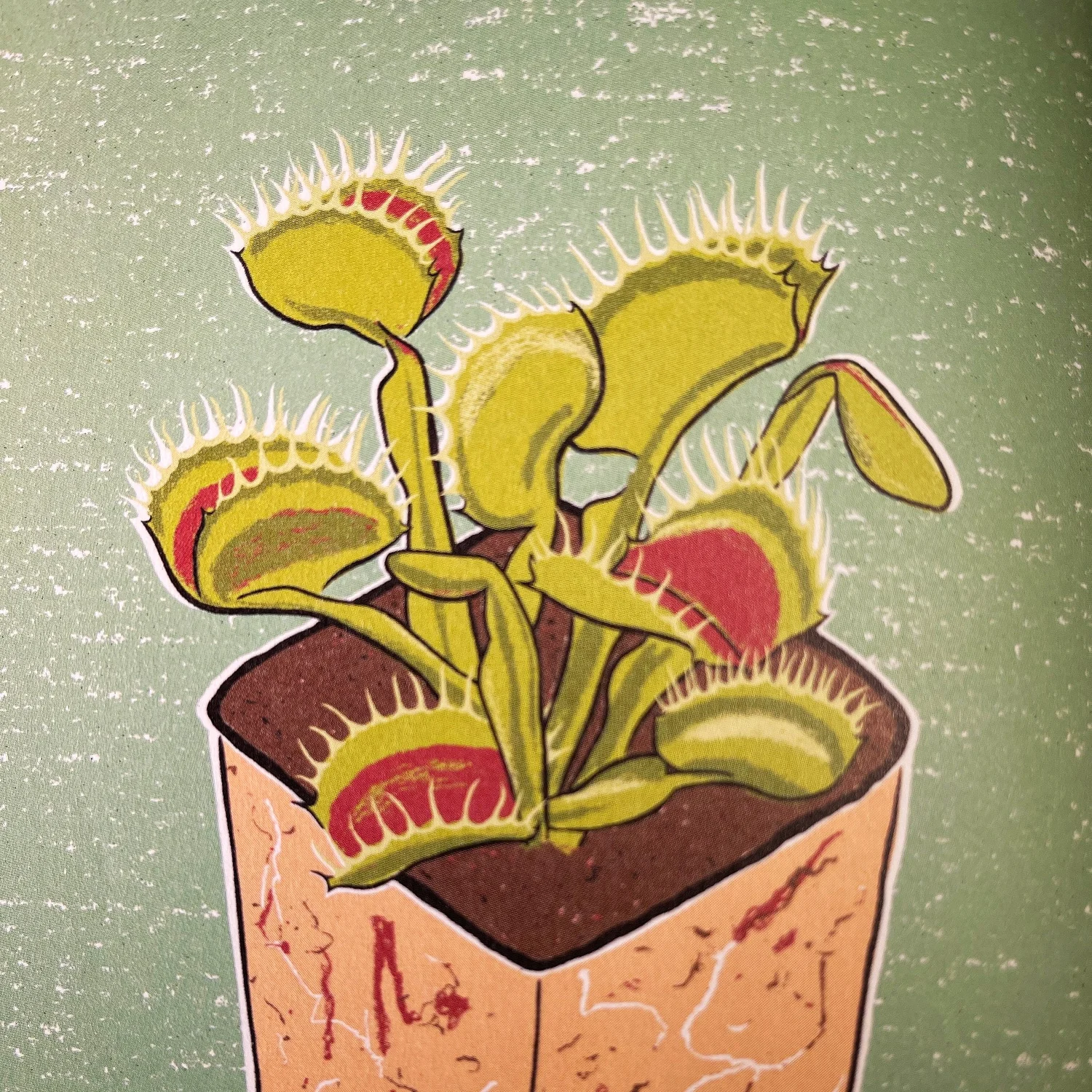 Episode 282: the Venus flytrap — Jane Perrone