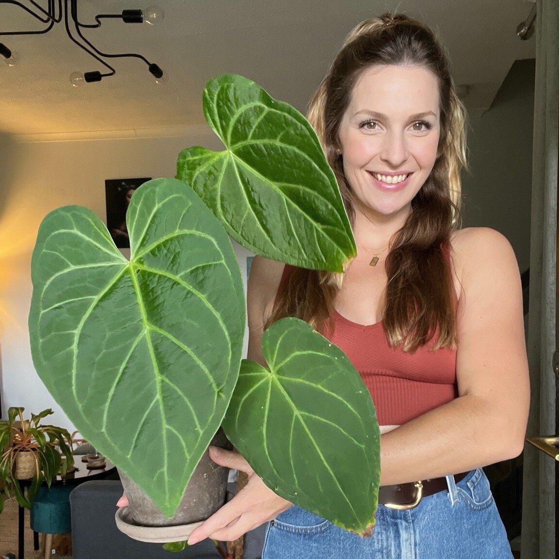 I had so much fun talking to Gemma Haigh aka @theplantparlourgram for episode 289 of On The Ledge. She tells me about all things Anthurium, including how to acclimate new plants you've imported, and why you don't have to grow them all in cabinets! 
I