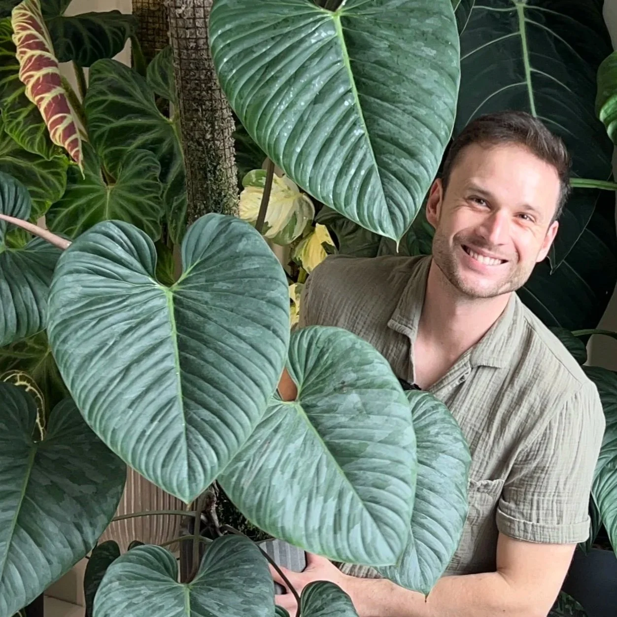 Episode 314: Becoming a fulfilled plant person with Sydney Plant Guy