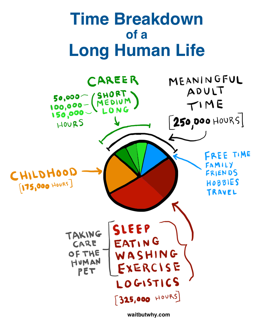 How to Pick a Career (That Actually Fits You) by Tim Urban does such a great job explaining how and why you should pick a career you'd be proud of when you die. It taught me how to find and eliminate my biases, approach everything from First Principles, and categorize my deepest fears and desires into a much more digestible format. 