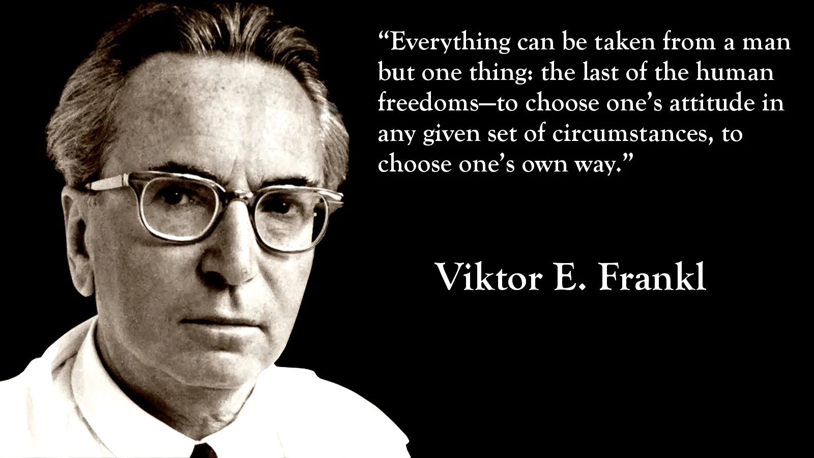 adrien-harrison-echo-studio-online-business-consulting-and-growth-strategy-for-small-business-owners-freelancers-and-startups-mans-search-for-meaning-victor-frankl.jpg