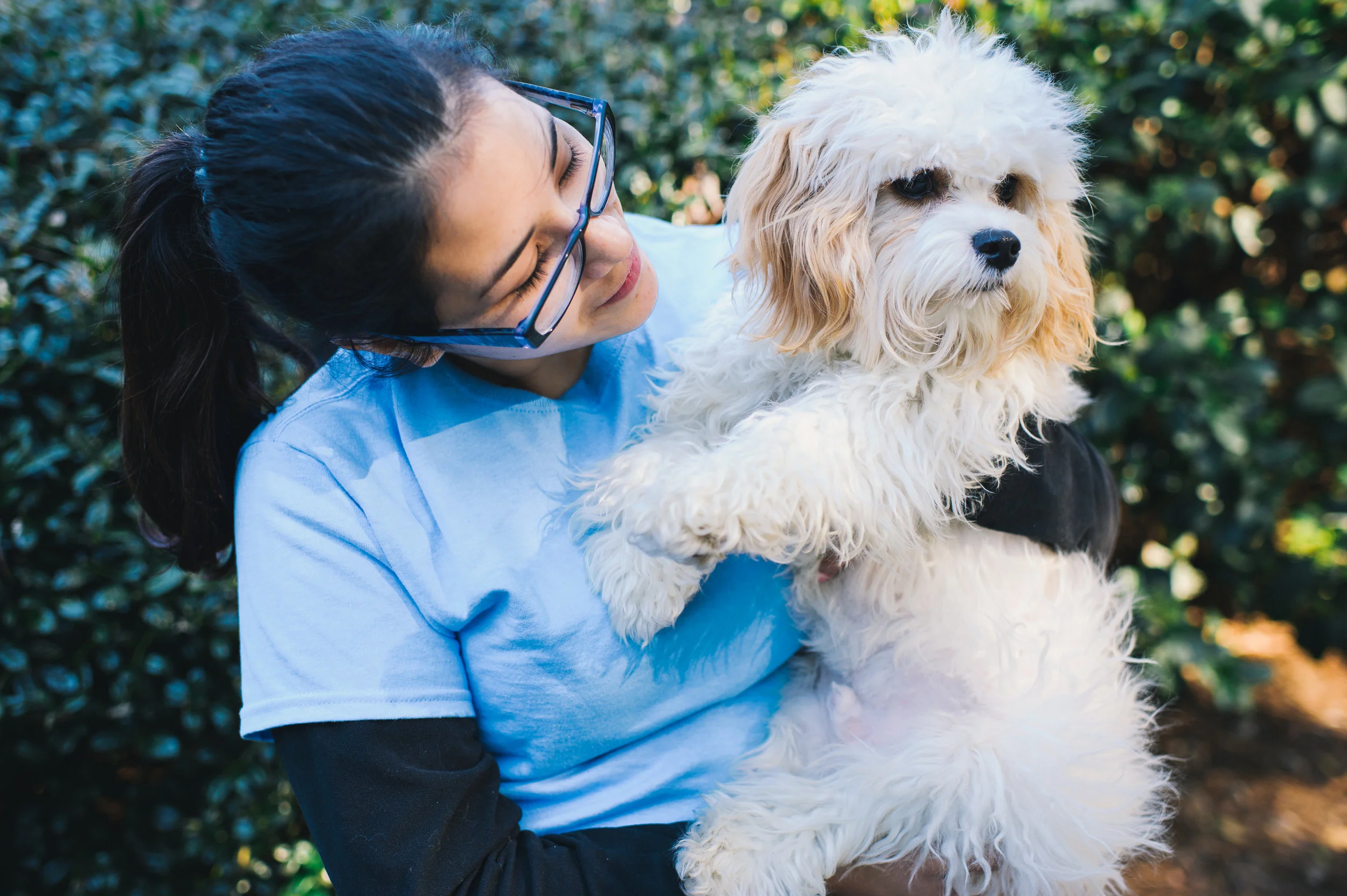 Evergreen Pet Lodge HHI