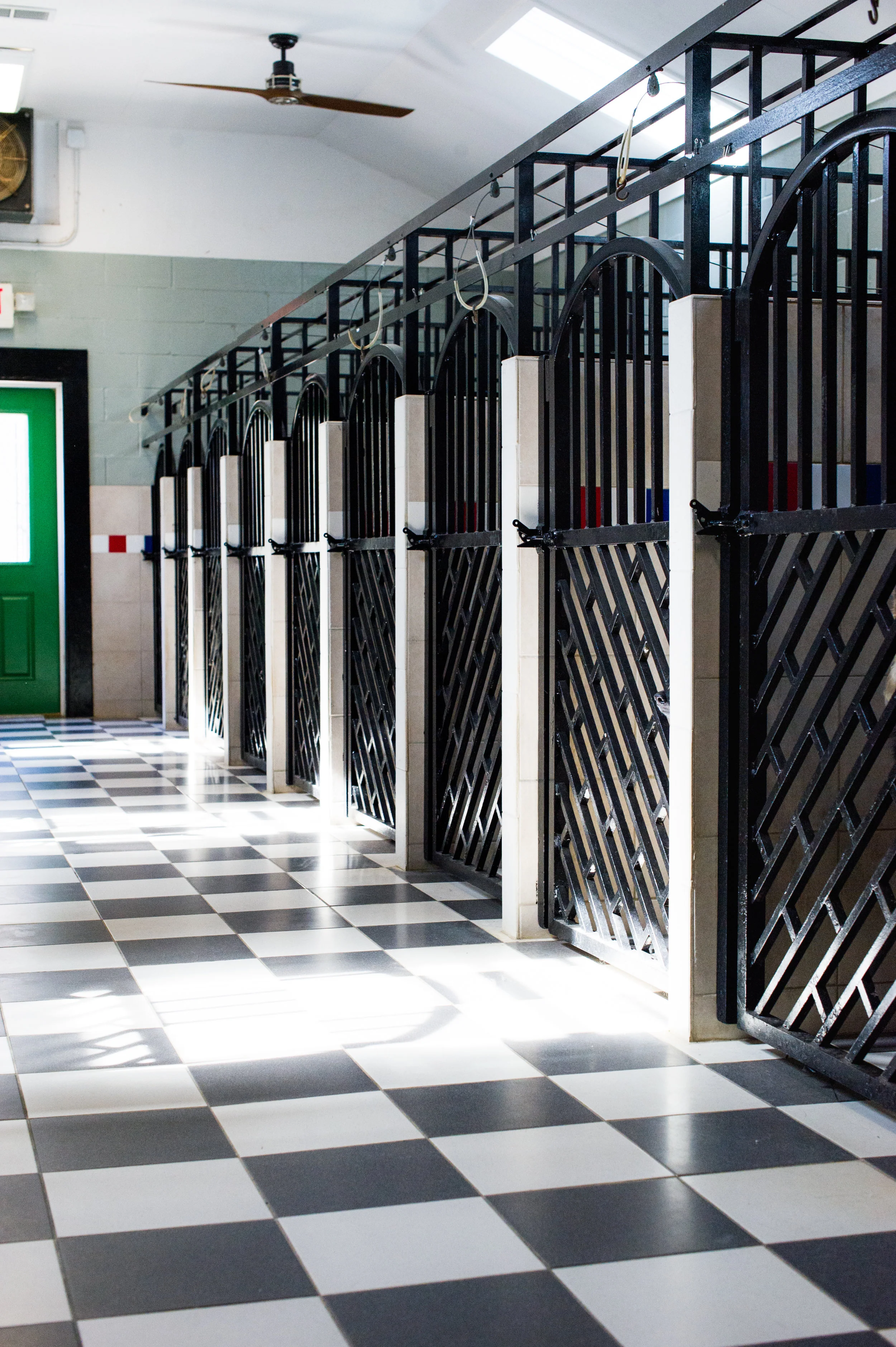 Boarding — Evergreen Pet Lodge HHI