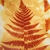 sun prints (anthotype)